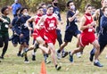 Start of boys cross country running race with athletes wearing masks and the official in the backgound