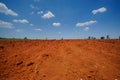 Start cultivation Cassava or manioc plant field at Thailand