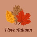 Start of fall. Cozy autumn postcard. Lettering I Love Autumn. Warm autumn season.