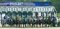 Start gates for horse races Royalty Free Stock Photo