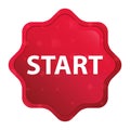 Start misty rose red starburst sticker button