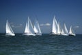 Start of a sailing regatta Royalty Free Stock Photo