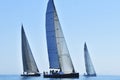 Sailboat Racing in the Pacific Northwest Royalty Free Stock Photo