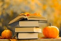 Start school and college season concept. Back to school.Autumn thematic reading. Books and pumpkins in autumn garden Royalty Free Stock Photo