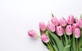 Start of spring poster. Beautiful photorealistic pink tulips bouquet isolated on white background