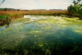 Start of sunset over the remains of Someseni Baths near Cluj Royalty Free Stock Photo