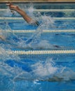 Start of a Swimmers race Royalty Free Stock Photo