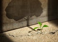Start, Think Big, Recovery and Challenge in Life or Business Concept.Economic Crisis Symbol.New Green Sprout Plant Growth in