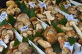 Start of the truffle fair in Alba (Cuneo), has been held for more than 50 years, the donkey race Royalty Free Stock Photo