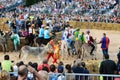 Start of the truffle fair in Alba (Cuneo), has been held for more than 50 years, the donkey race Royalty Free Stock Photo