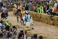 Start of the truffle fair in Alba (Cuneo), has been held for more than 50 years, the donkey race Royalty Free Stock Photo