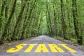 Jungle road to start Royalty Free Stock Photo