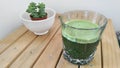 Chlorella