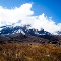 Starting the ascent up kili kilimanjaro the tallest moutain in africa tanzania Royalty Free Stock Photo