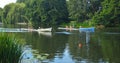 Starting positions for St Neots Regatta on the River Ouse.