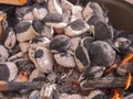 Starting up garden barbeque. Heating up charcoal stage. Burning coal. Summer time activity, Food preparation in a park or backyard Royalty Free Stock Photo