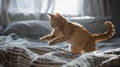 Startled red cat leaps, hissing in grumpiness, awakened on my bed. Ai Generated