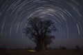 Startrail at Baines Baobab`s Royalty Free Stock Photo