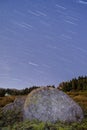 Startrail galaxy and Rocks in forest