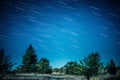 Startrails above dark forest Royalty Free Stock Photo