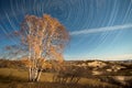 Startrails: tree on the grassland Royalty Free Stock Photo