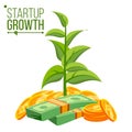 Startup Growth Concept Vector. Plant Growing In Savings Coins. Success Company. Isolated Flat Cartoon Illustration Royalty Free Stock Photo