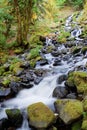 Starvation Creek Falls Royalty Free Stock Photo