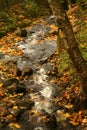 Starvation Creek Falls, Columbia River Gorge, Oregon