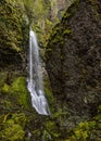 Starvation Creek Waterfall in Spring