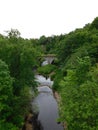 Starve bridge.