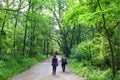 Starved Rock State Park with a path with walking tourists surrounded by green trees in Illinois, US