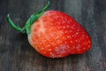 Starwberry fruit rot Royalty Free Stock Photo