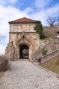 Stary Hrad - ancient castle