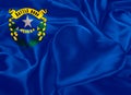 State Flag of Nevada