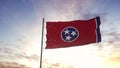 State flag of Tennessee waving in the wind. Dramatic sky background. 3d illustration