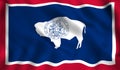 The state flag of wyoming