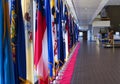 State Flags on Display at Military Hospital