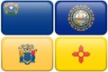 State Flags: Nevada, New Hampshire, New Jersey, NM