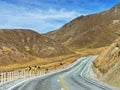 State Highway 8 at Lindis Pass on the South Island of New Zealand