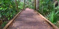 State Park Boardwalk in Florida Royalty Free Stock Photo