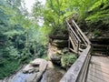 Above Clifty Falls on the trail Royalty Free Stock Photo