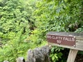 A sign for Big Clifty Falls Royalty Free Stock Photo