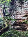 Rocky mountain wall with green trees in state park forest Royalty Free Stock Photo