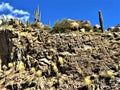 State Route Highway 87 scenic landscape view from Phoenix, Arizona to Payson Arizona, United States Royalty Free Stock Photo