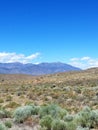 State Route 376 between Manhattan and Tonopah, Nevada