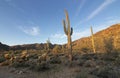 Remote Arizona Desert Trail