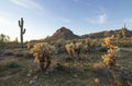 Remote Arizona Desert Trail