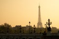 Static shot of Alexandre III bridge during sunset in Paris. Eiffel Tower in the background