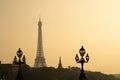 Static shot of Alexandre III bridge during sunset in Paris. Eiffel Tower in the background