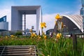 Static shot of blooming flower at La Defense business district in Paris with skyscrapers defocused on the background